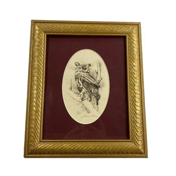 Jack Bolin Great Horned Owl Print Framed Wall Art Limited Edition numbered 39/50 - Picture 1 of 15